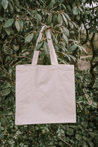 Train 30 children in primary education